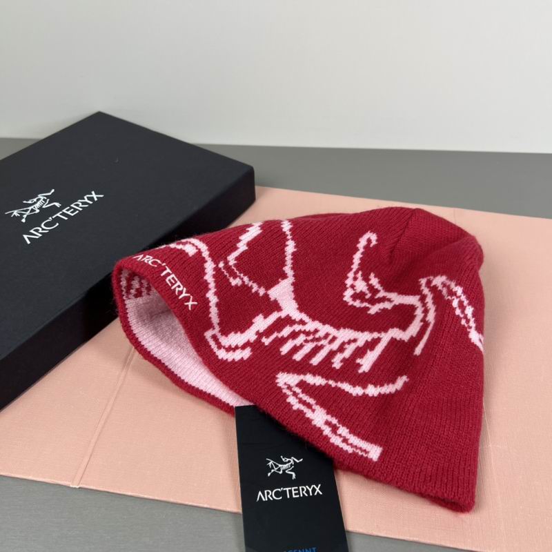 Arcteryx hat dx (73)