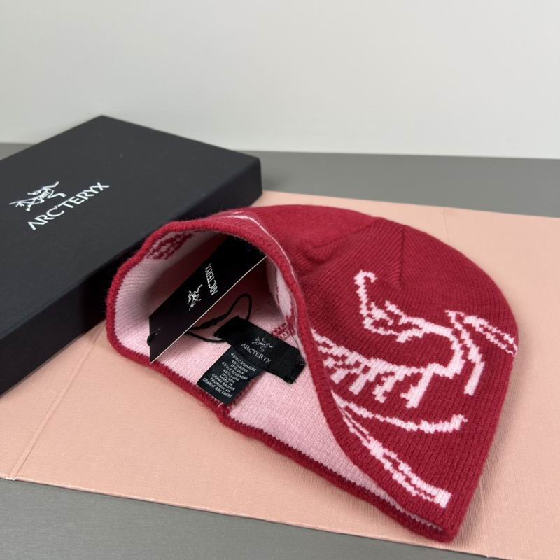 Arcteryx hat dx (74)