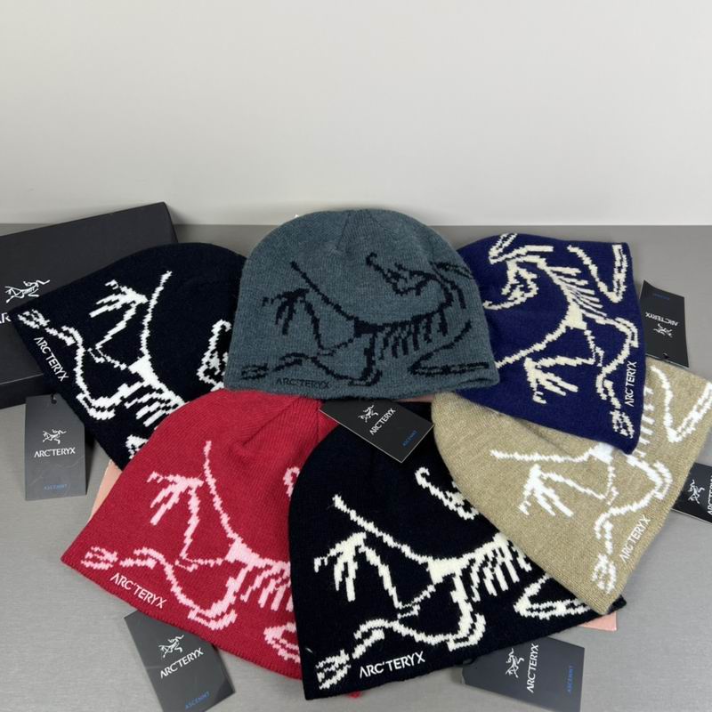 Arcteryx hat dx (75)