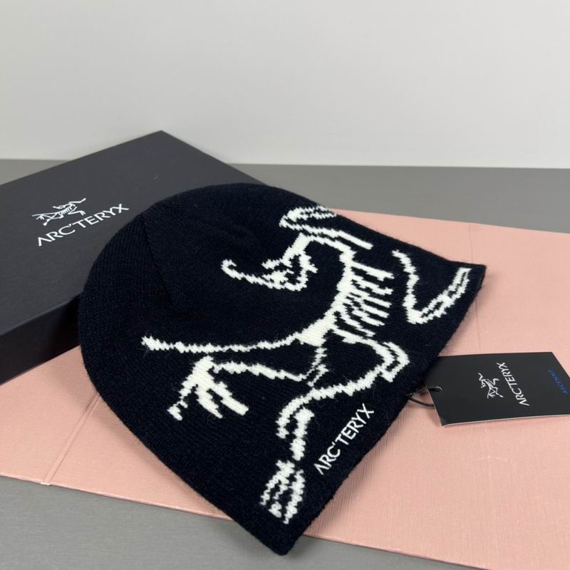 Arcteryx hat dx (76)