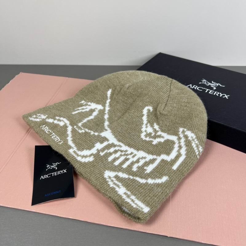Arcteryx hat dx (78)