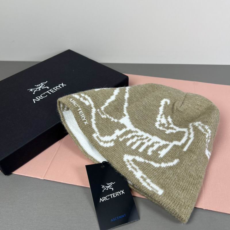 Arcteryx hat dx (79)