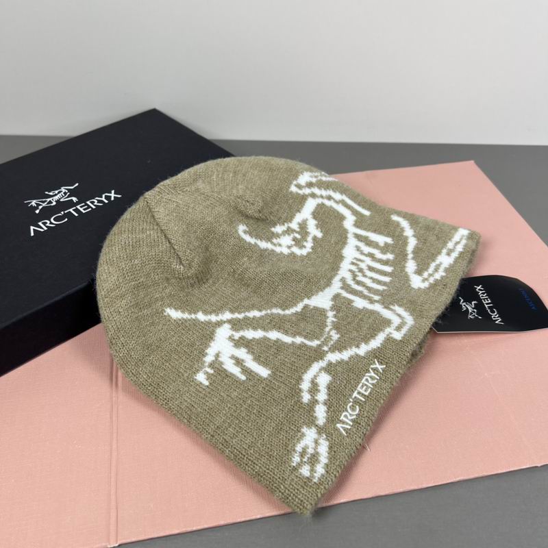 Arcteryx hat dx (80)