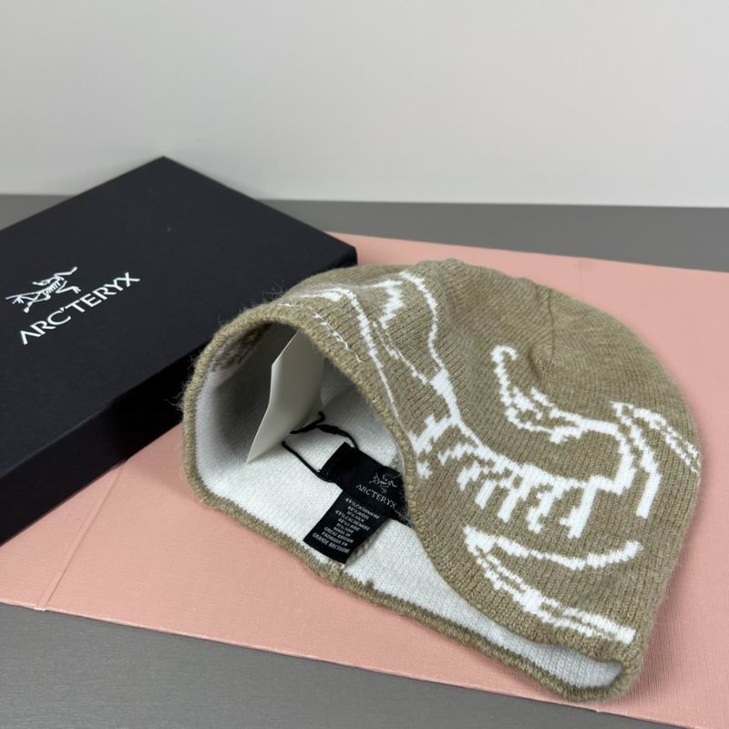 Arcteryx hat dx (81)