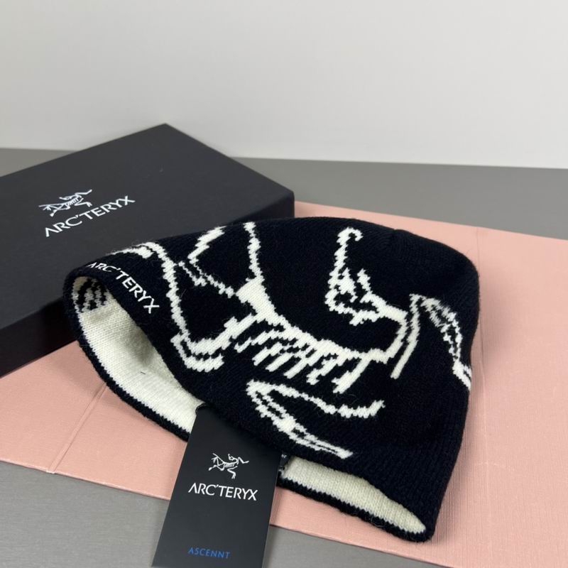 Arcteryx hat dx (82)