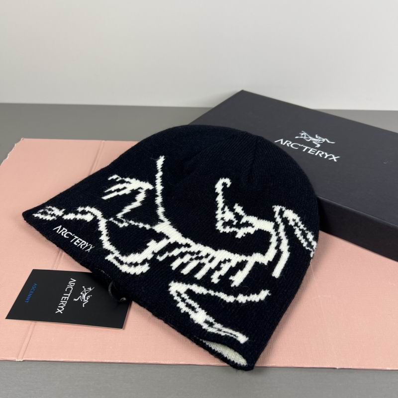 Arcteryx hat dx (83)