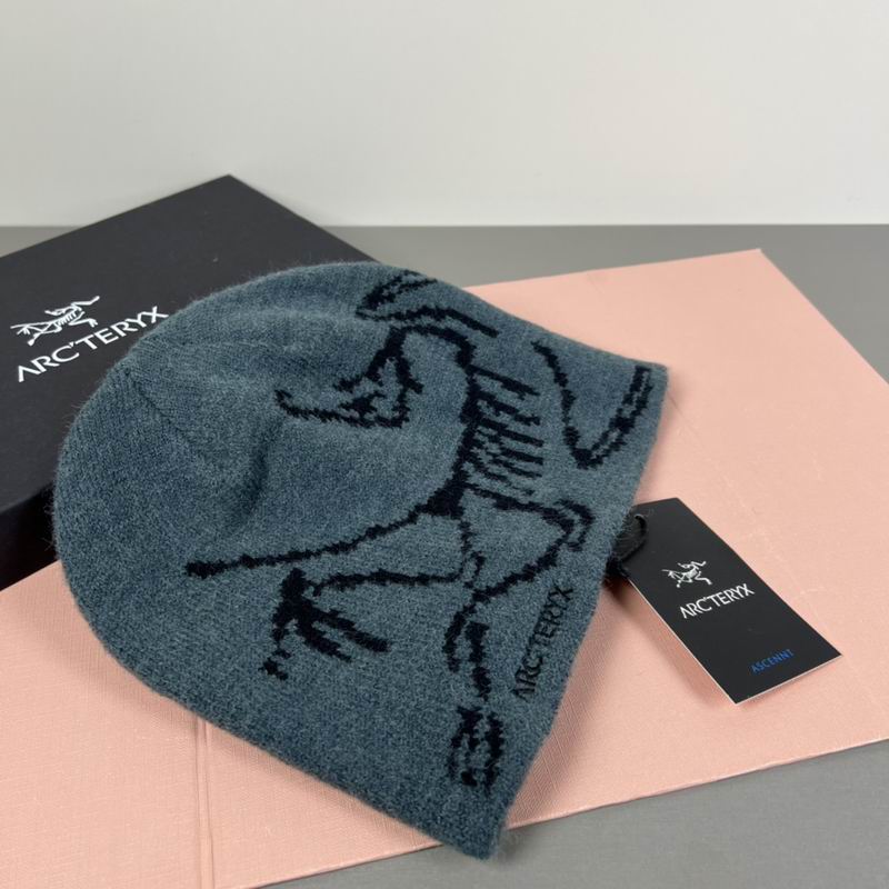 Arcteryx hat dx (85)