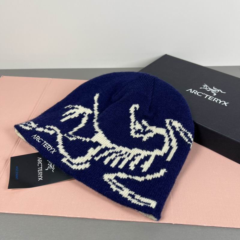 Arcteryx hat dx (87)