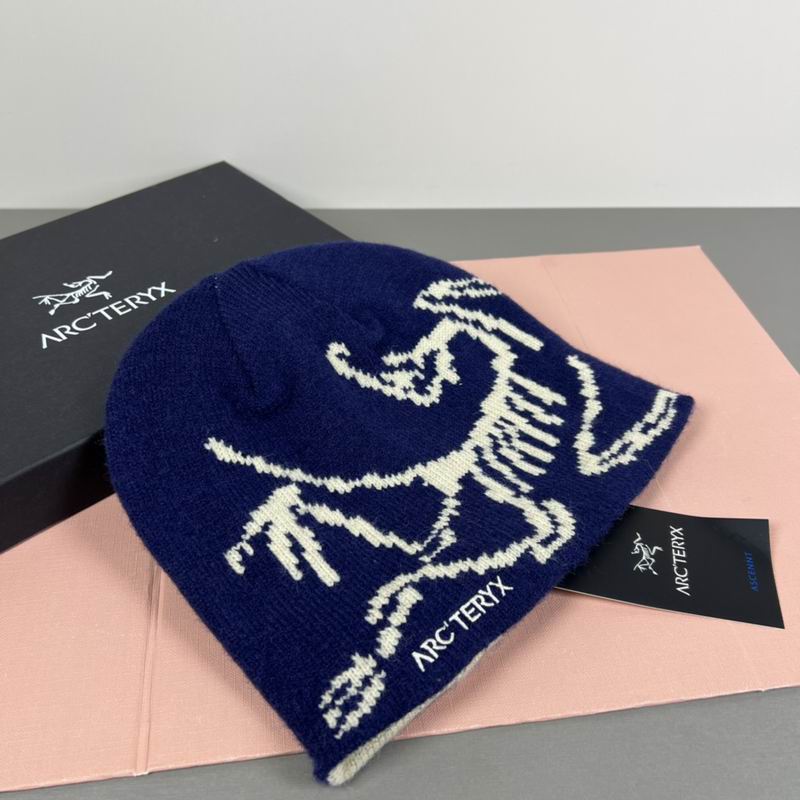 Arcteryx hat dx (88)