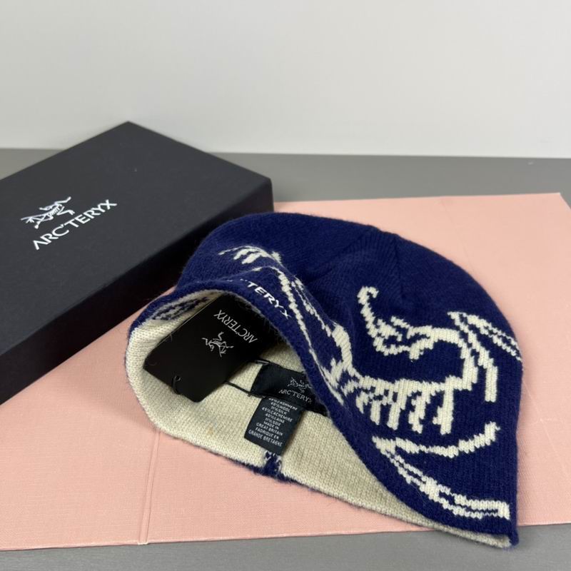 Arcteryx hat dx (89)