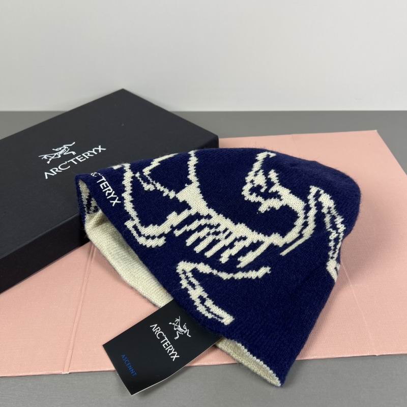 Arcteryx hat dx (90)