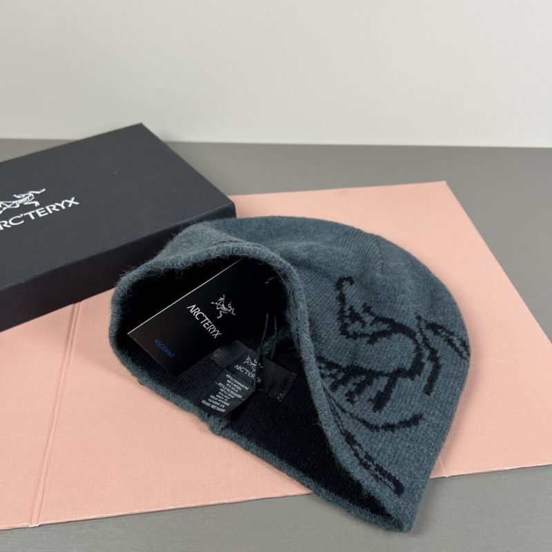 Arcteryx hat dx (91)