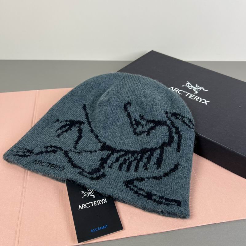 Arcteryx hat dx (92)