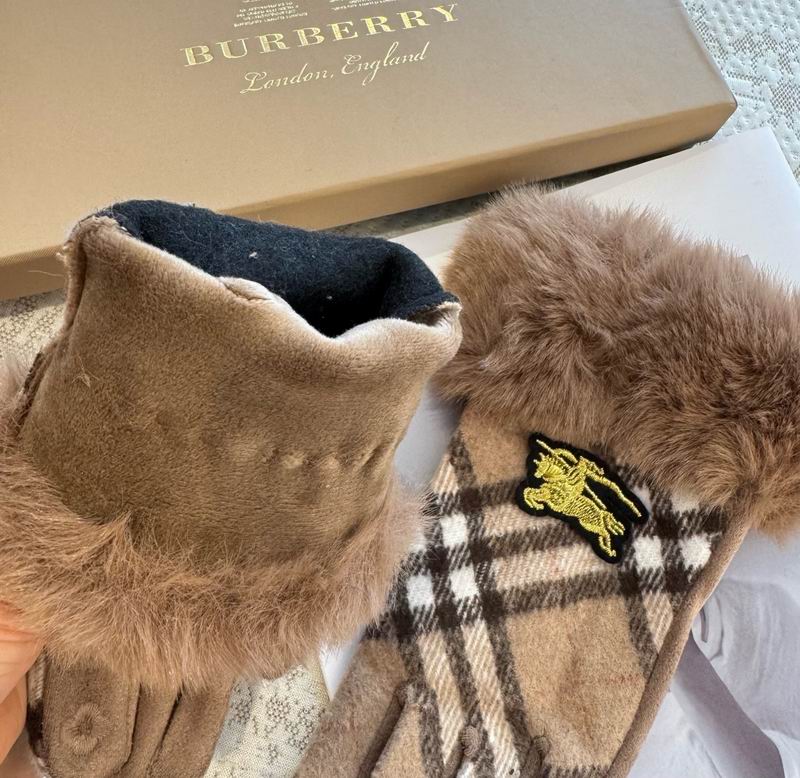 Burberry Gloves 33 (11)