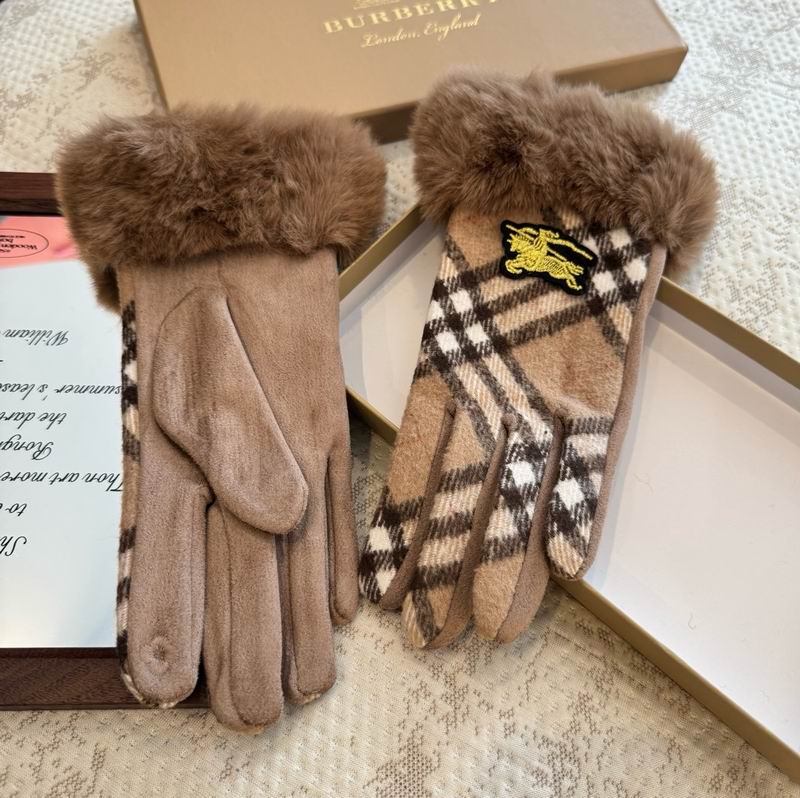 Burberry Gloves 33 (12)