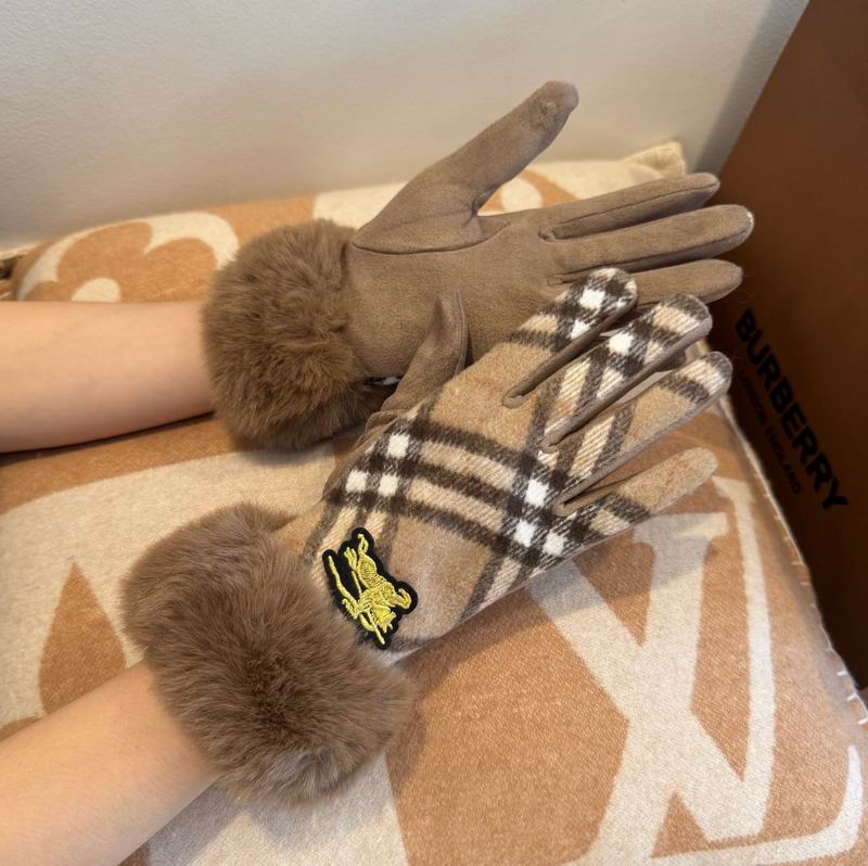 Burberry Gloves 33 (15)