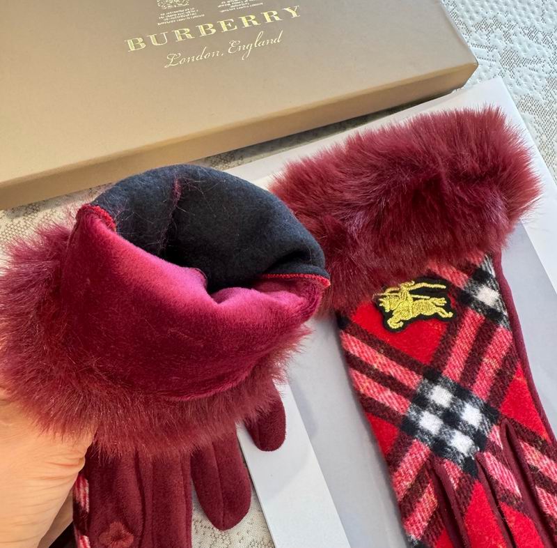 Burberry Gloves 33 (21)