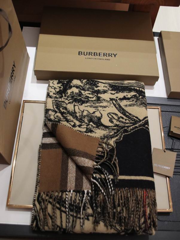 Burberry Scarf 210X50cm E12 (3)