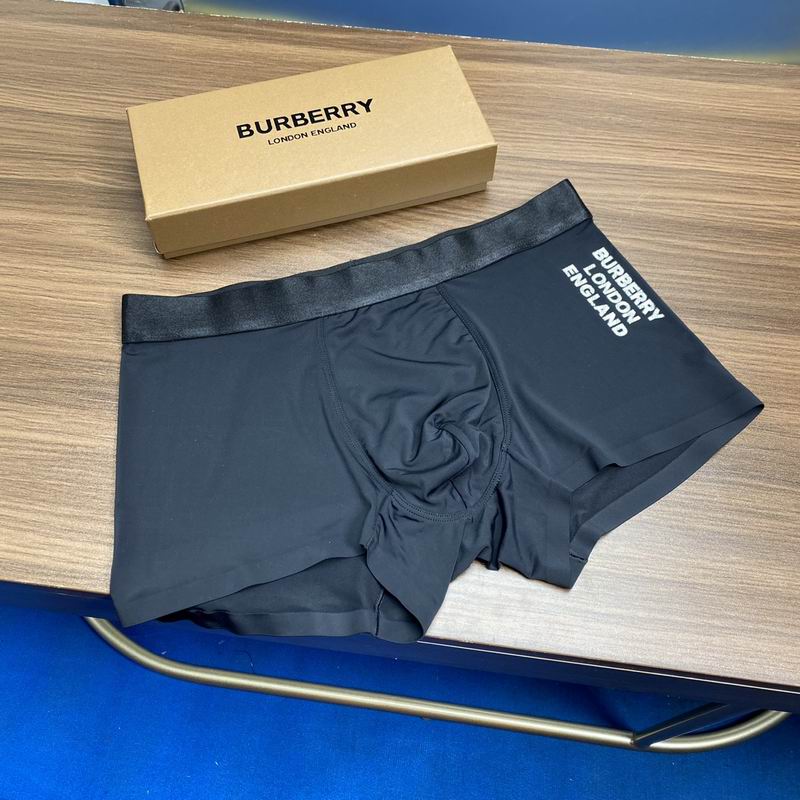 Burberry boxer L-3XL 09 (5)