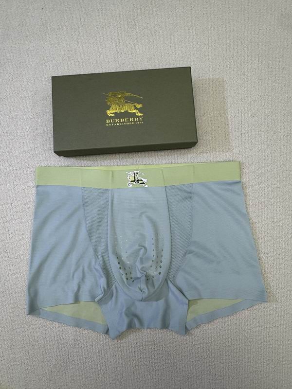 Burberry boxer L-4XL 06 (1)