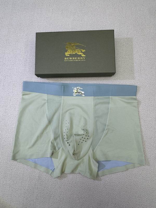 Burberry boxer L-4XL 06 (2)