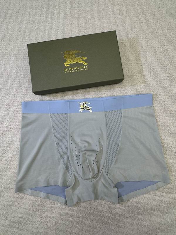 Burberry boxer L-4XL 06 (3)