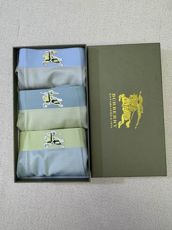 Burberry boxer L-4XL 06 (4)