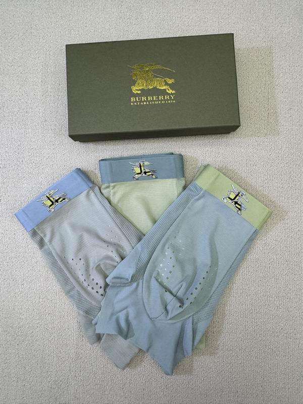 Burberry boxer L-4XL 06 (5)