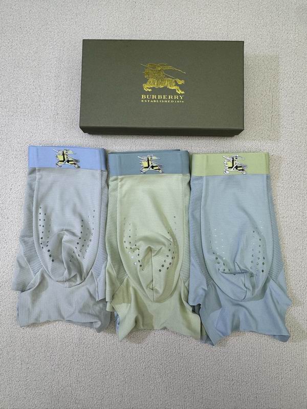 Burberry boxer L-4XL 06 (6)