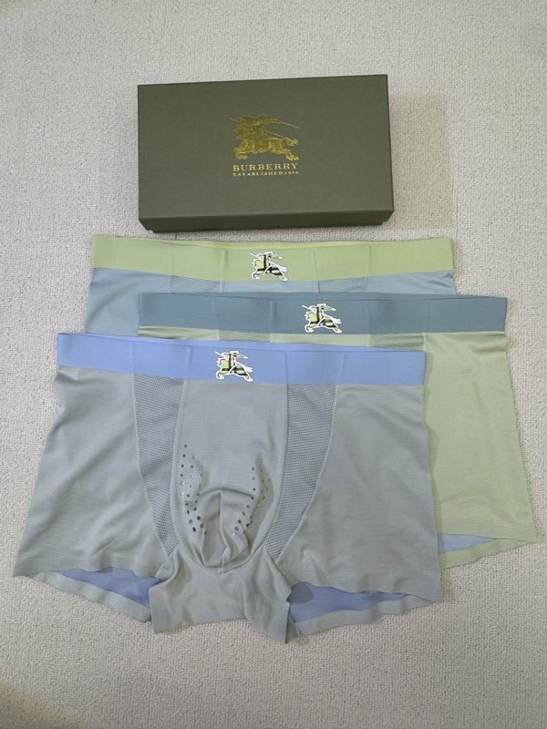 Burberry boxer L-4XL 06 (8)