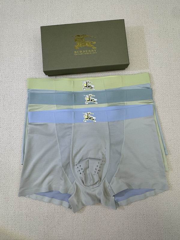 Burberry boxer L-4XL 06 (9)