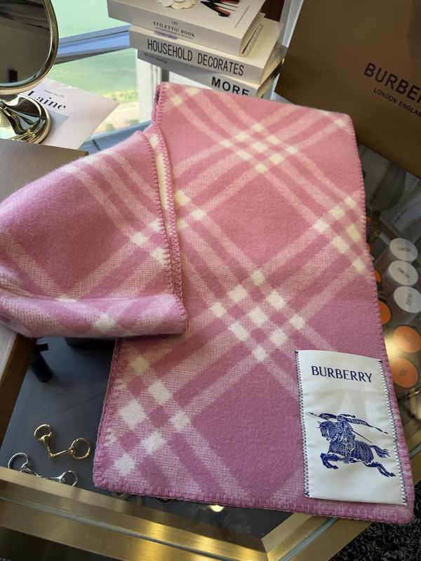 Burberry cloack  E23 (10)