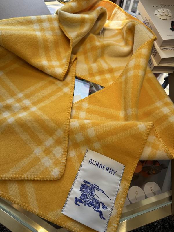 Burberry cloack  E23 (11)