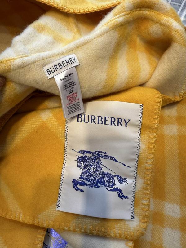 Burberry cloack  E23 (12)