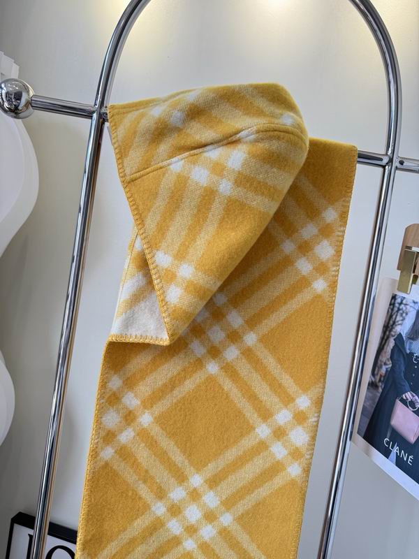 Burberry cloack  E23 (14)