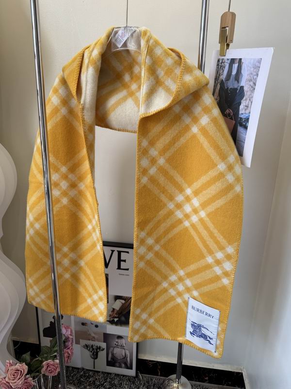 Burberry cloack  E23 (15)