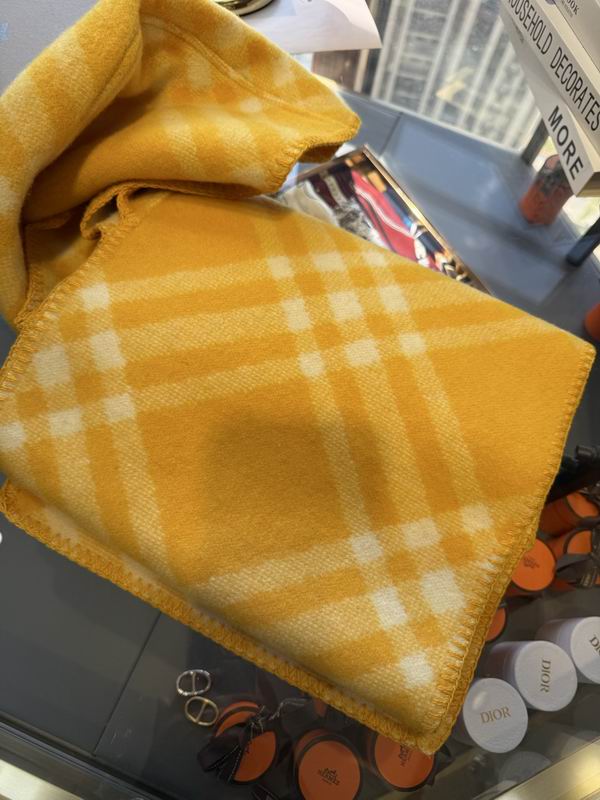 Burberry cloack  E23 (16)