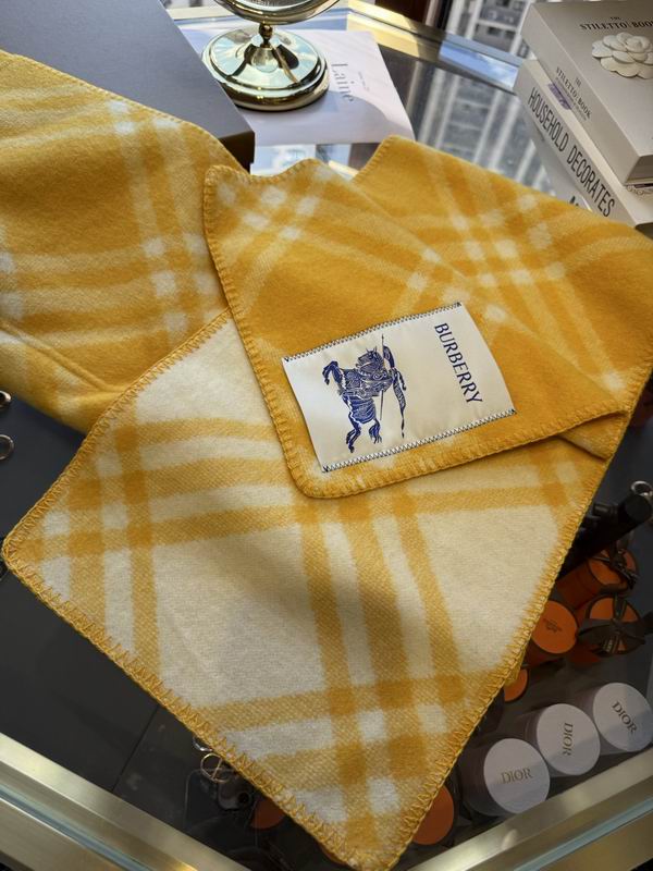 Burberry cloack  E23 (17)