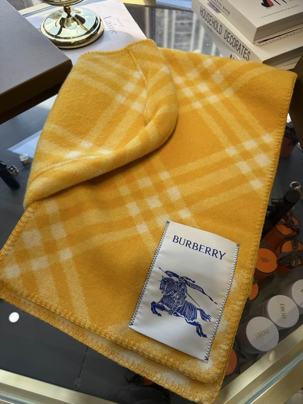 Burberry cloack  E23 (18)