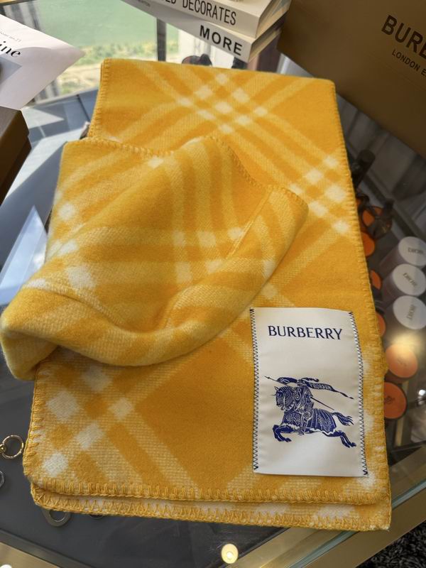 Burberry cloack  E23 (19)