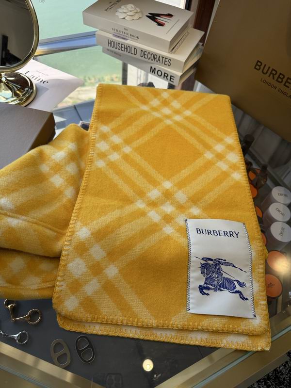 Burberry cloack  E23 (20)