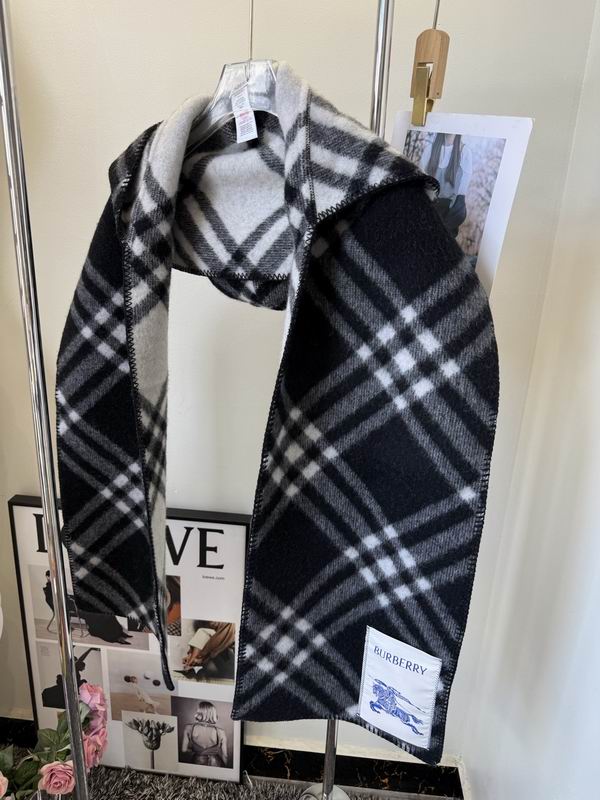 Burberry cloack  E23 (24)