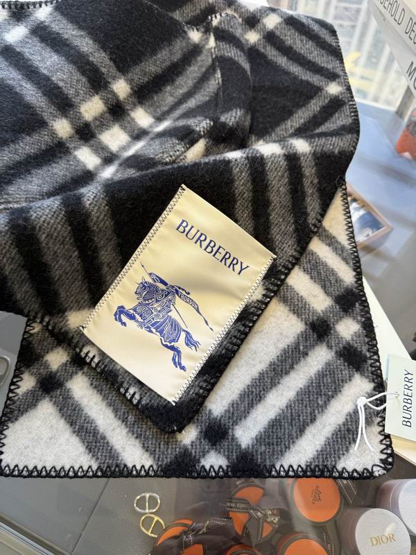 Burberry cloack  E23 (25)