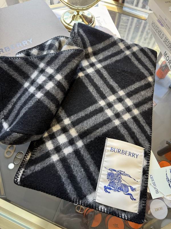 Burberry cloack  E23 (28)