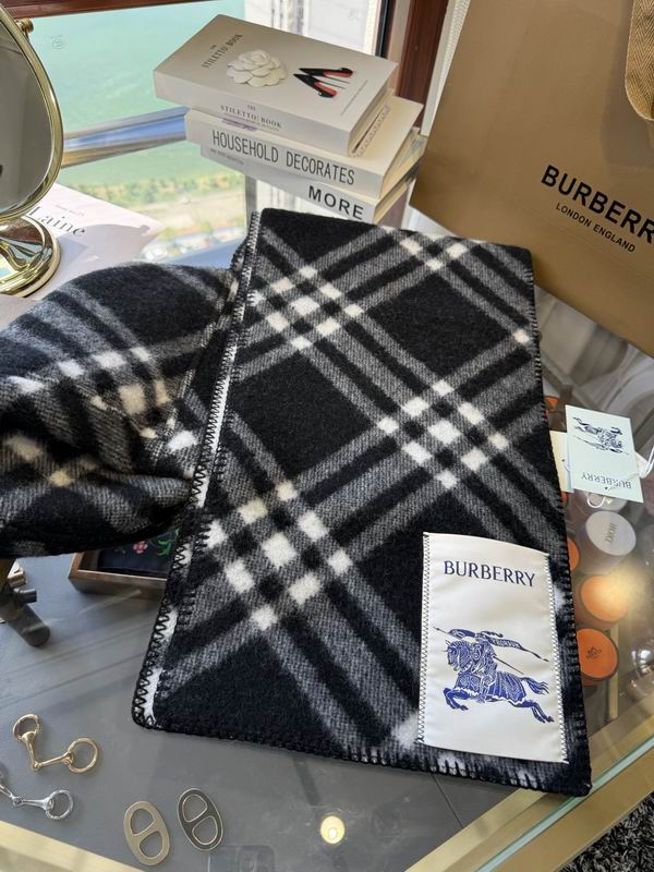 Burberry cloack  E23 (29)