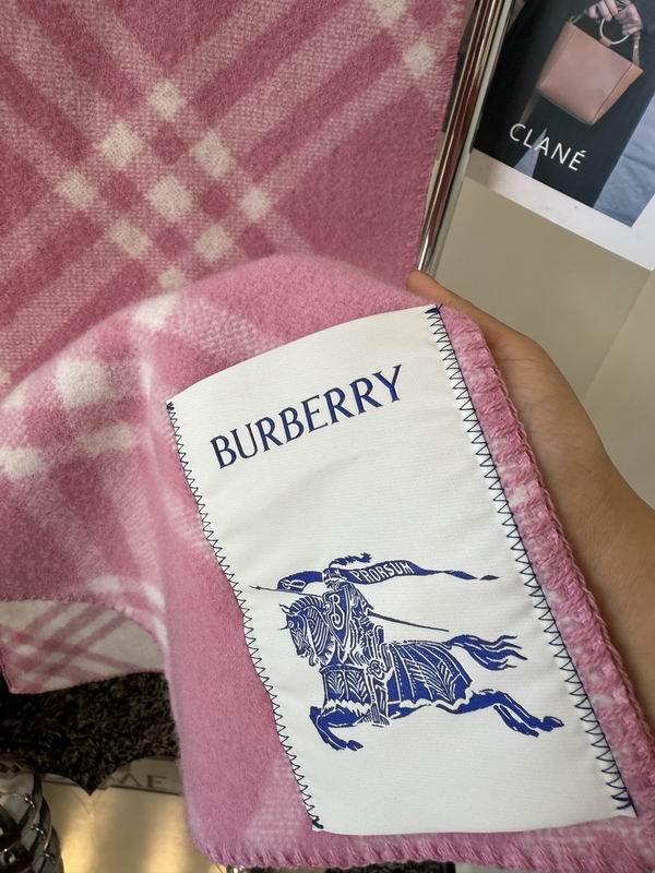 Burberry cloack  E23 (5)