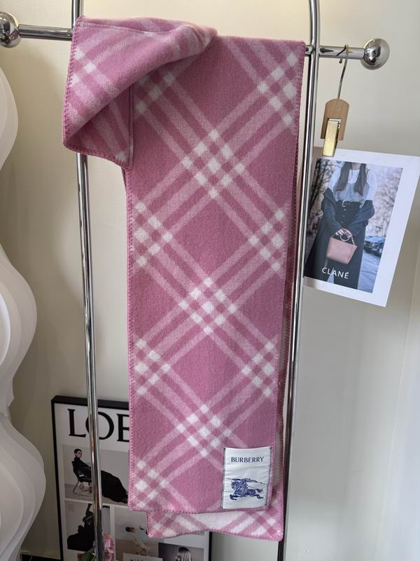 Burberry cloack  E23 (7)