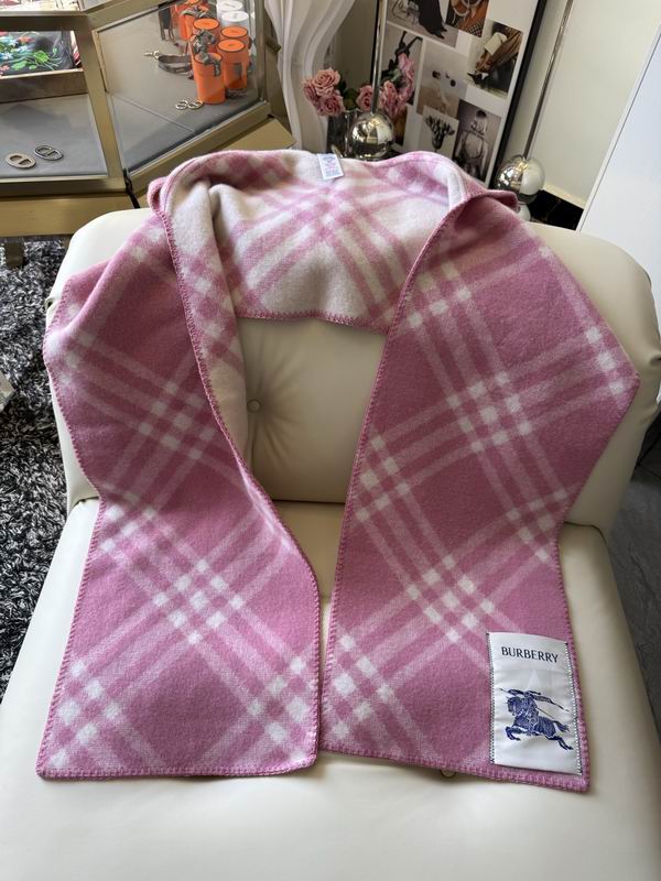 Burberry cloack  E23 (8)