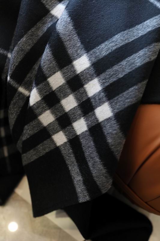 Burberry cloak E36 (1)