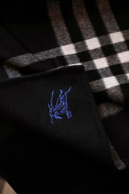 Burberry cloak E36 (5)